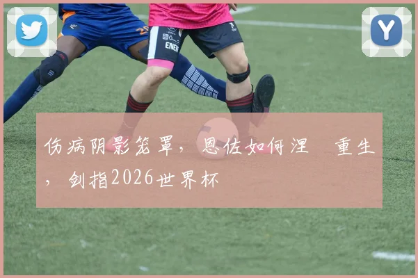 伤病阴影笼罩,恩佐如何涅槃重生,剑指2026世界杯